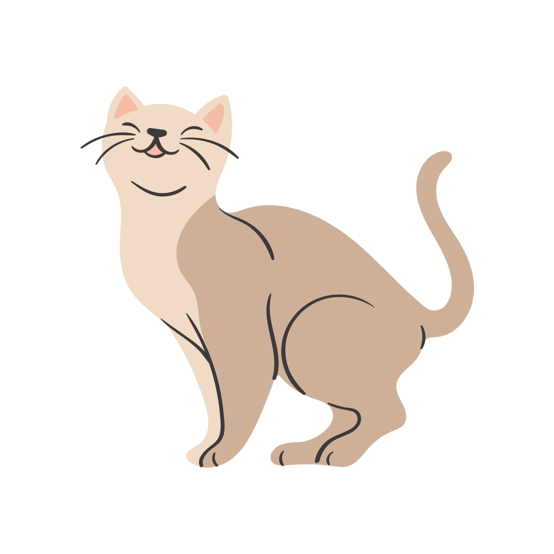 Adoptar gato Madrid