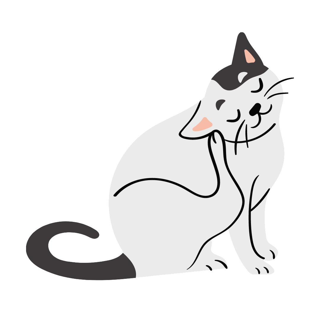 adoptar gato Madrid