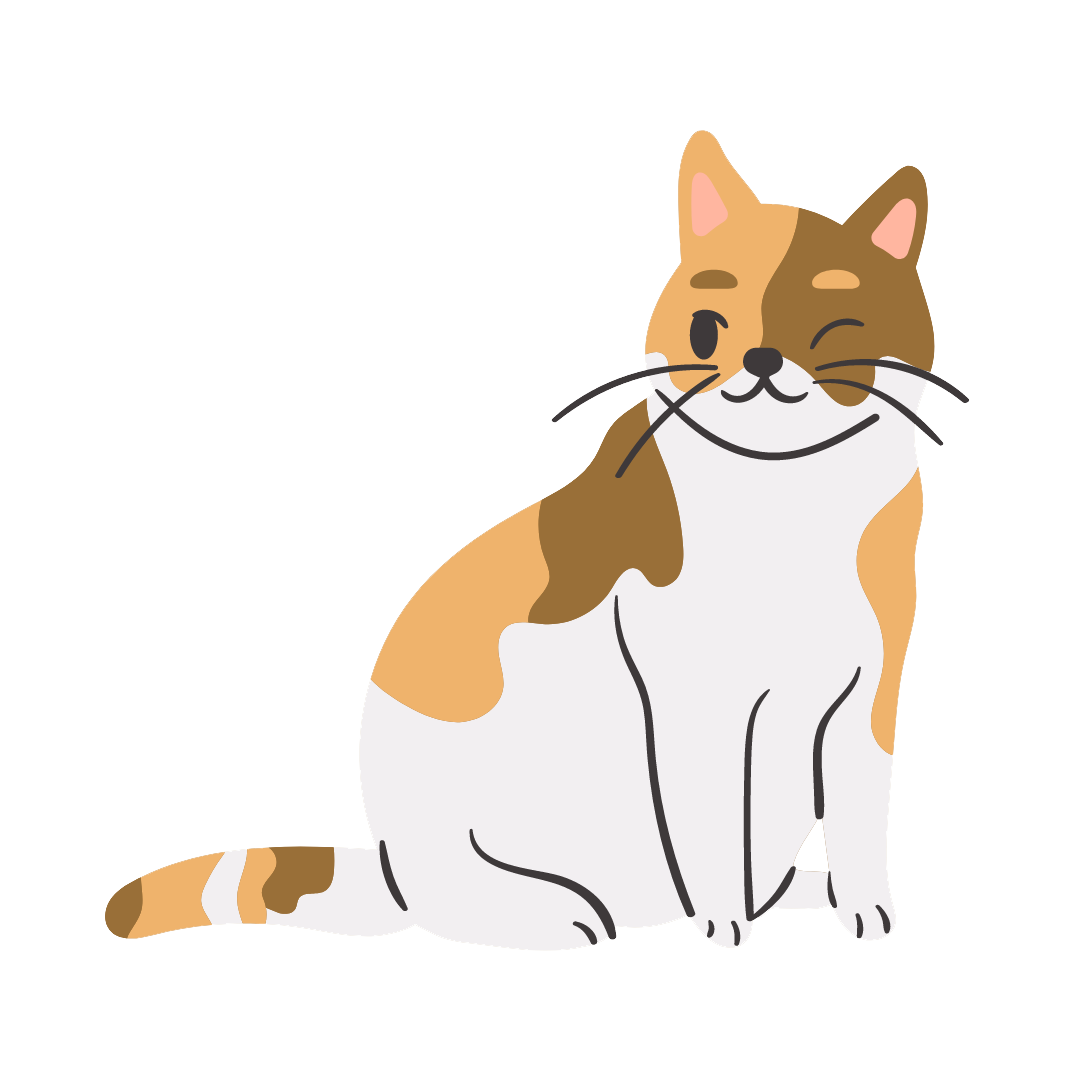 adoptar gato Madrid